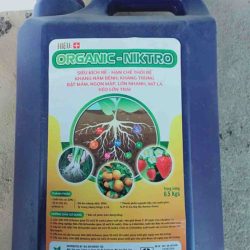 Organic Niktro dạng can